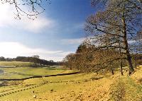 Lakeland scene, near Far Sawrey