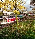 The Bridgewater canal